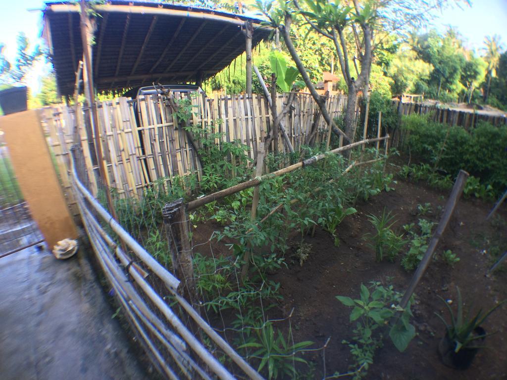 Jeges Homestay Senggigi Exteriör bild